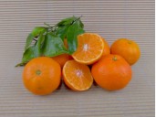 Buy ORGANIC MANDARINS